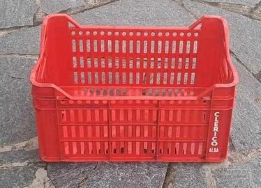 CASSETTE IN PLASTICA PER ORTOFRUTTA