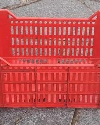 CASSETTE IN PLASTICA PER ORTOFRUTTA