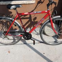 bici uomo portapacchi e luci dinamo