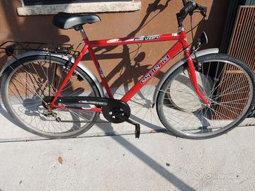 bici uomo portapacchi e luci dinamo