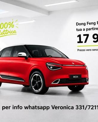 Dongfeng Box Dong feng Style 100% elettrica