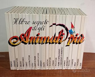 ANIMALI PIÙ, DAVID GNOMO