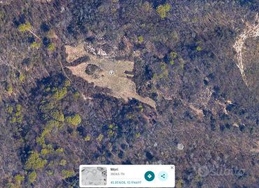 Vendita terreno boschivo