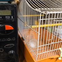 gabbia per uccelli o altro