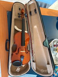 Violino