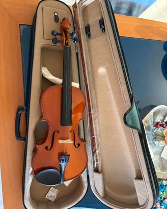 Violino