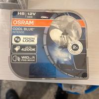 Lampadine H8 12V OSRAM