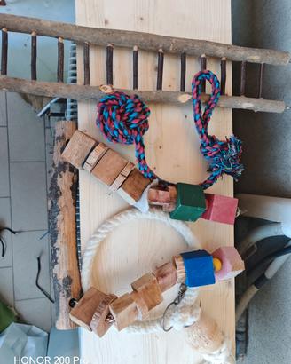giochi per pappagalli 