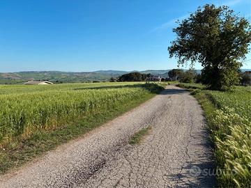 Terreno panoramico per ville