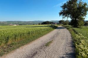 Terreno panoramico per ville