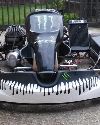 Go-Kart CRG Silver Shadow 100cc Rotax pronto pista