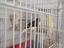 Immagine 3