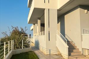 Giardino sul mare a Pineto