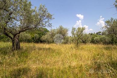 RUSTICO A PALOMBARA SABINA