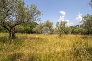 RUSTICO A PALOMBARA SABINA