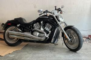 V-rod