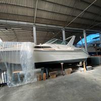 Searey Diesel duo-prop