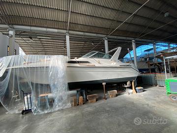 Searey Diesel duo-prop