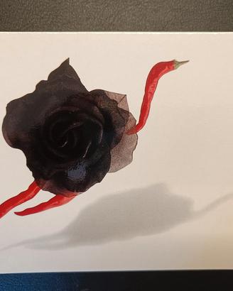 Cartolina Armando Testa '87