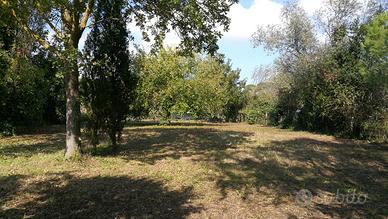 Terreno a due passi dal centro di Milano Marittima