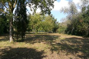 Terreno a due passi dal centro di Milano Marittima