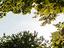 Immagine 28