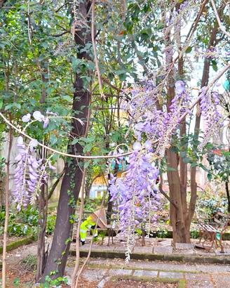 Appartamento con terrazzo e giardino