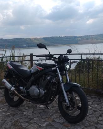 suzuki gs 500