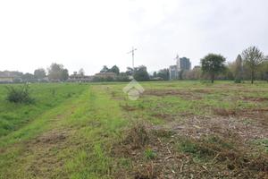 TER. AGRICOLO A BOLOGNA