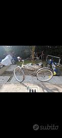 bicicletta Regina cruiser 
