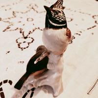 Karl Ens coppia uccelli dal ciuffo