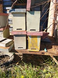 cassettini e arnie vuote