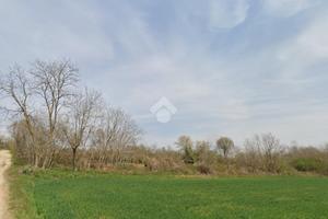 TER. AGRICOLO A RIVALTA DI TORINO