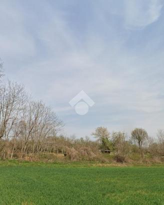 TER. AGRICOLO A RIVALTA DI TORINO