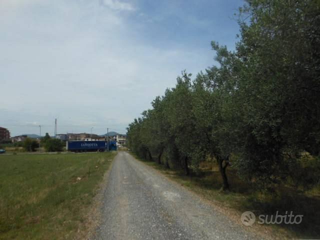 Terreno di 3300 m² a Vairano Patenora - Vista 5