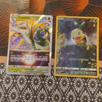 2 carte Pokemon 