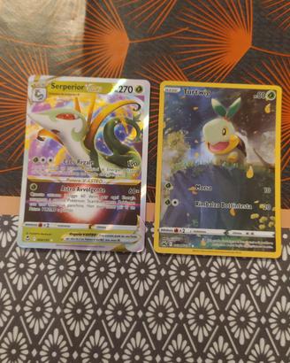 2 carte Pokemon 