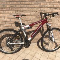 MTB  Mountains Rok