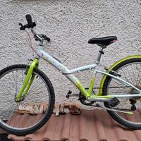 bicicletta ragazzo/a