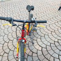 Mountain Bike ragazzo/a