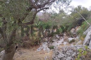 Terreno - Siracusa