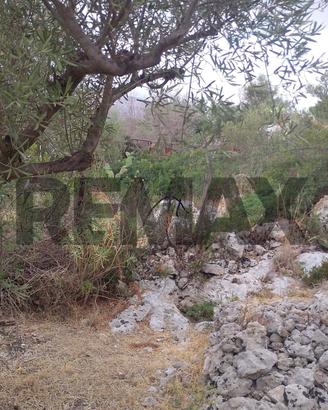 Terreno - Siracusa
