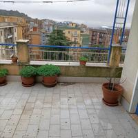 Rif.3650RA56382| appartamento caltanissetta