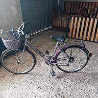 bicicletta da dpnna