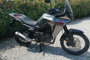 Honda XL 750 Transalp - 2024