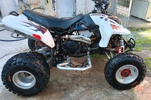 Altro Altro modello - 2006