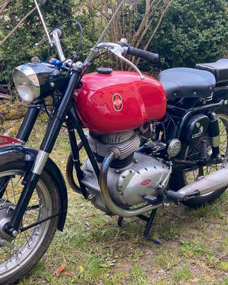 gilera B250 1957 FMI