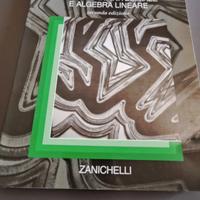 Matematica Calcolo Infinitesimale e algebra linear
