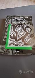 Matematica Calcolo Infinitesimale e algebra linear