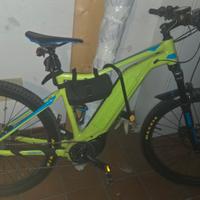 bici giant elettrica